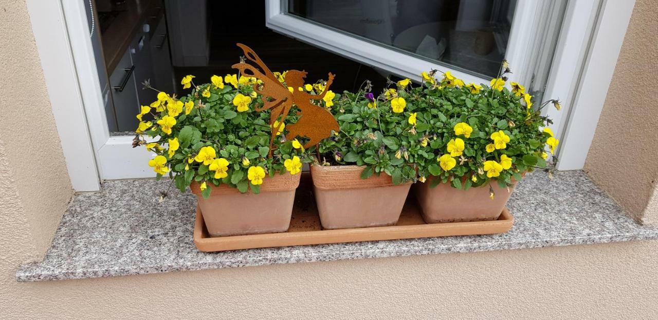 Apartmani Tuheljske Tuheljske Toplice Exteriör bild